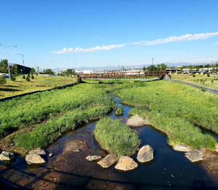 image of river ecology