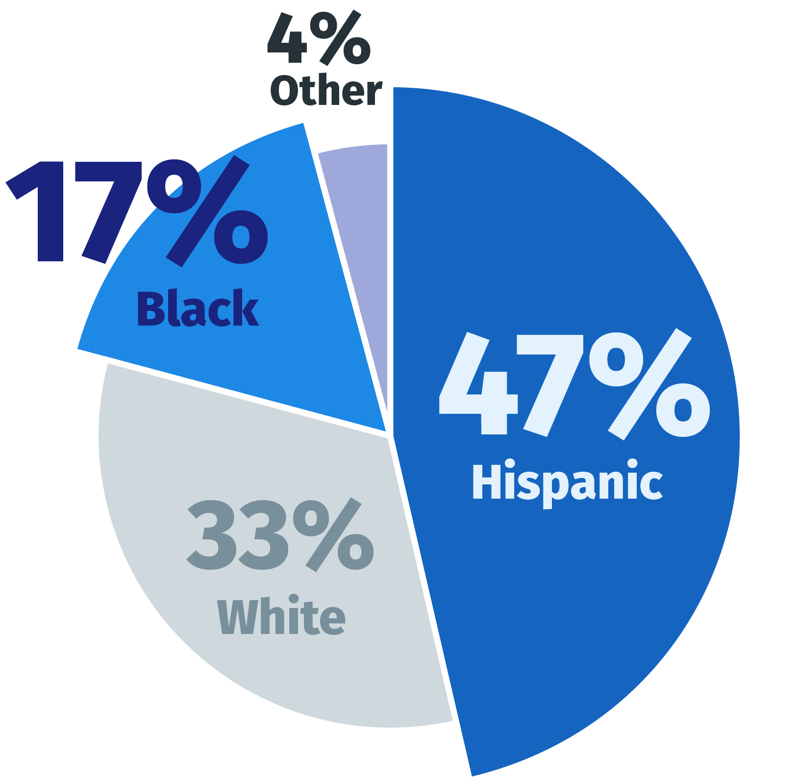 pie chart for ethnicity