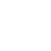 revenue icon