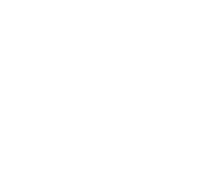 wetland icon